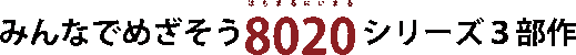 8020V[Y3